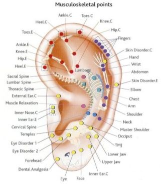 Auricular Therapy Long Island