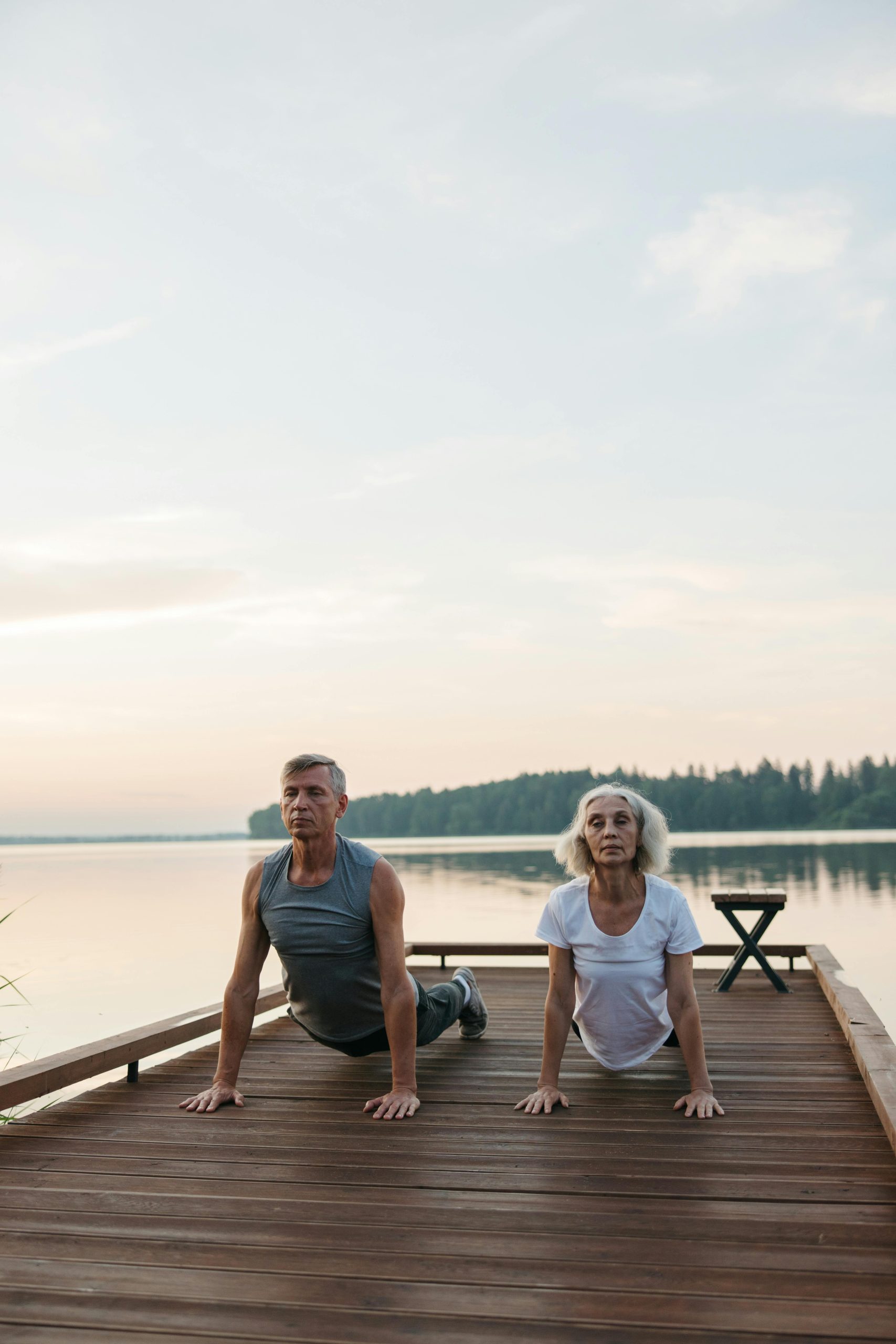 healthy aging studio Palm Harbor FL